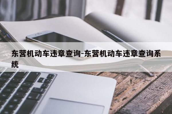 东营机动车违章查询-东营机动车违章查询系统