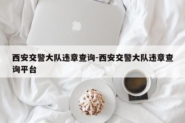 西安交警大队违章查询-西安交警大队违章查询平台