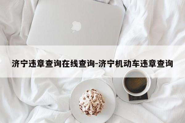 济宁违章查询在线查询-济宁机动车违章查询