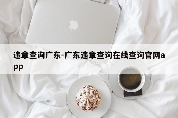 违章查询广东-广东违章查询在线查询官网app