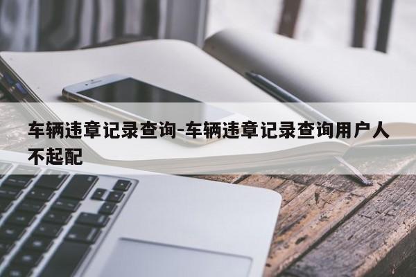 车辆违章记录查询-车辆违章记录查询用户人不起配