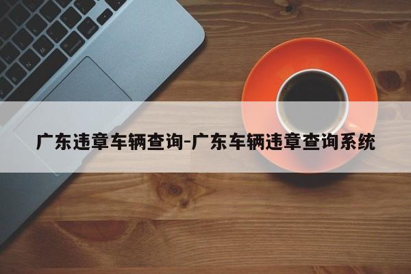 广东违章车辆查询-广东车辆违章查询系统