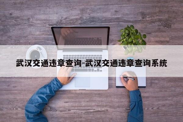 武汉交通违章查询-武汉交通违章查询系统