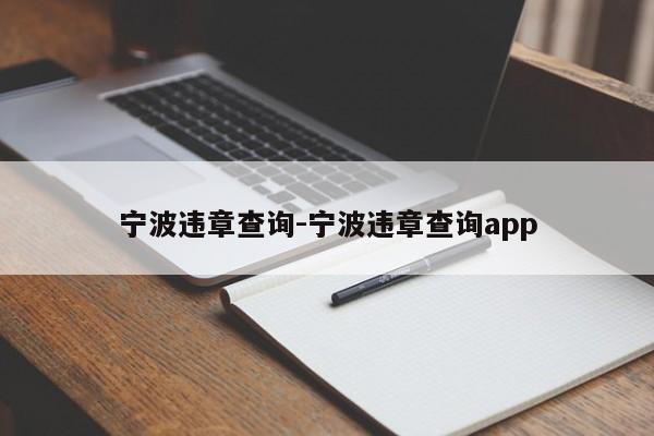 宁波违章查询-宁波违章查询app