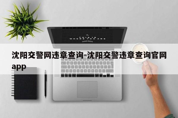 沈阳交警网违章查询-沈阳交警违章查询官网app