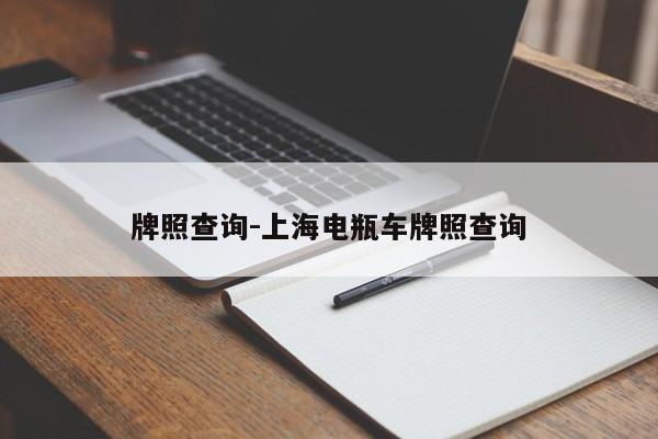 牌照查询-上海电瓶车牌照查询