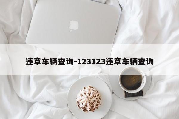 违章车辆查询-123123违章车辆查询