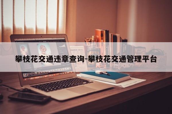 攀枝花交通违章查询-攀枝花交通管理平台
