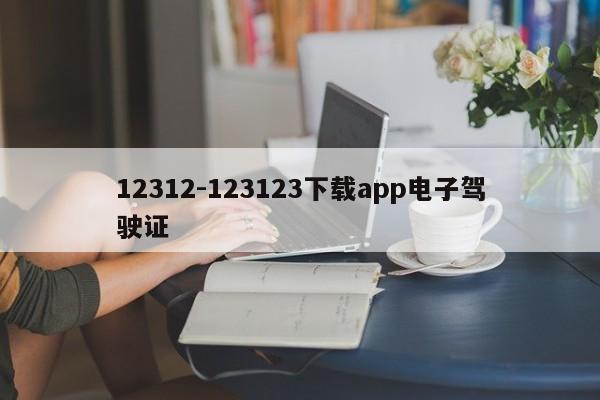 12312-123123下载app电子驾驶证