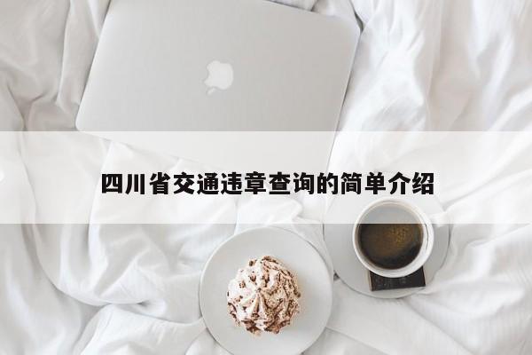 四川省交通违章查询的简单介绍