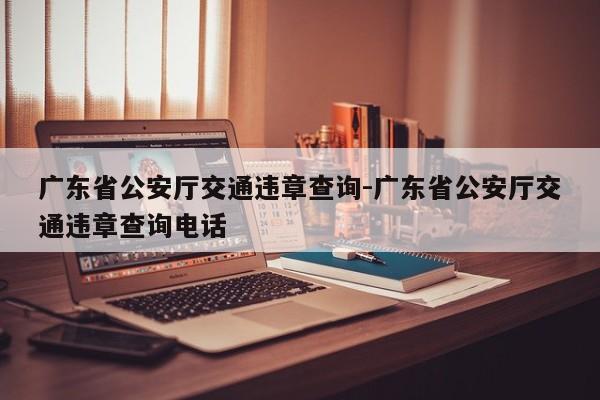 广东省公安厅交通违章查询-广东省公安厅交通违章查询电话