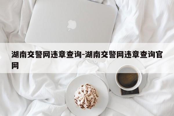 湖南交警网违章查询-湖南交警网违章查询官网