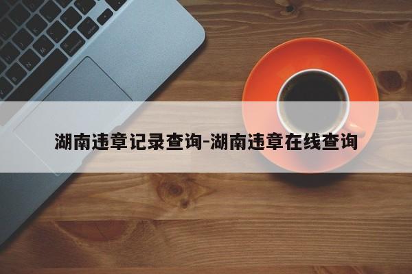 湖南违章记录查询-湖南违章在线查询