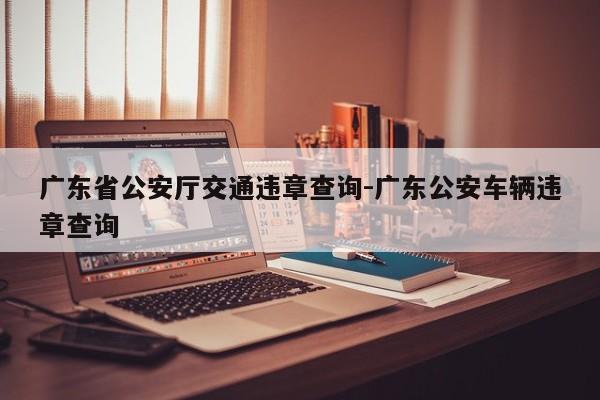 广东省公安厅交通违章查询-广东公安车辆违章查询